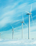 Statkraft har 68 vindmøller i Smøla-prosjektet ( Foto: Statkraft)